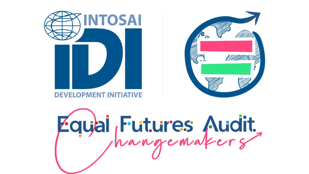 Applications for Equal Futures Audit Changemakers are now open!!