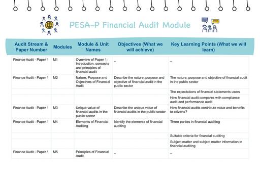 PESA-P Module Names and Objectives: Financial Audit Module