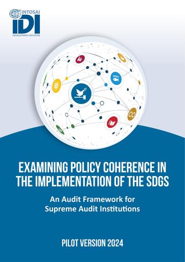 Policy Coherence Audit Framework