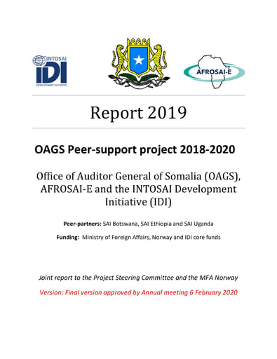 2019 Report OAGS Peer-support Project