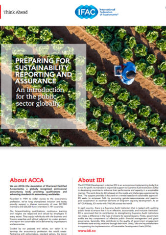 PI PS SUSTAINABILITY REPORTING v2