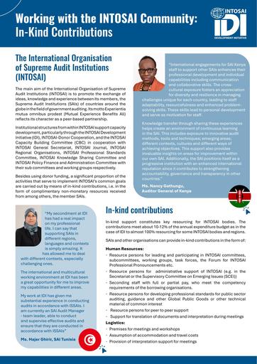 Working with the INTOSAI Community