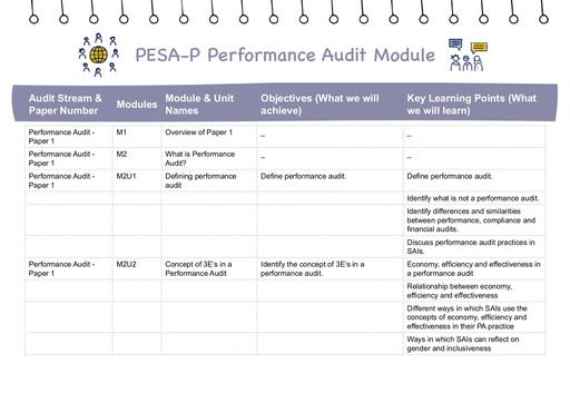 PESA-P Module Names and Objectives: Performance Audit Module