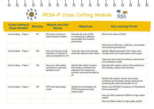 PESA-P Module Names and Objectives: Cross-Cutting